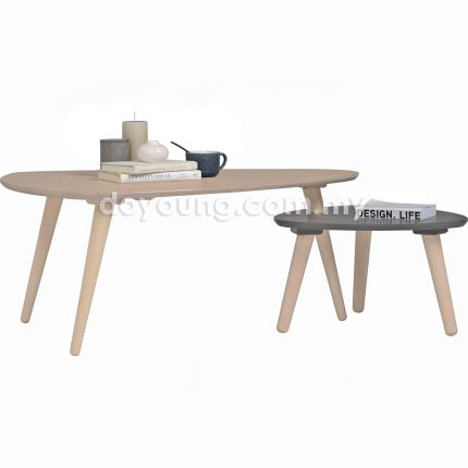 SOARE II (132x70cm Witewash) Set-of-2 Coffee Table