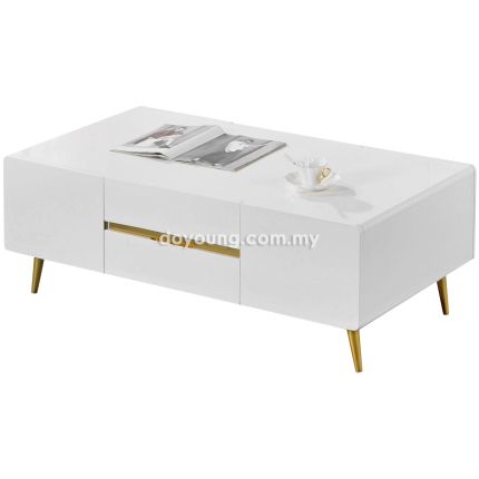 ERVINA (120x63cm High Gloss) Coffee Table with 6 Compartments