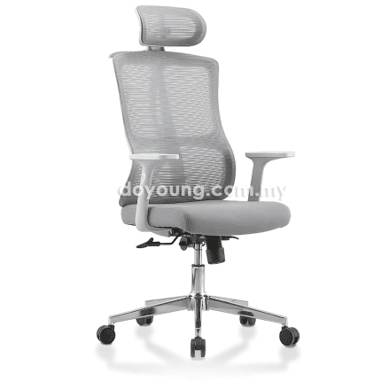 DAMASUS (MESH - Light Grey) High Back Executive Chair