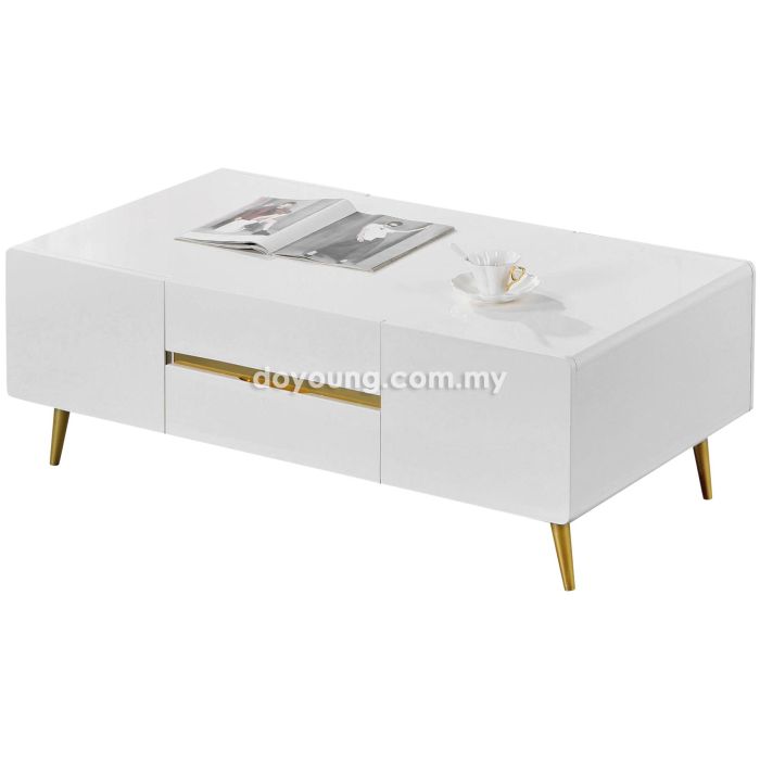 ERVINA (120x63cm High Gloss) Coffee Table with 6 Compartments